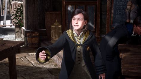 hogwarts legacy adult mods|Hogwarts Legacy mods